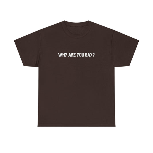 Why Are You Gay? T-shirt